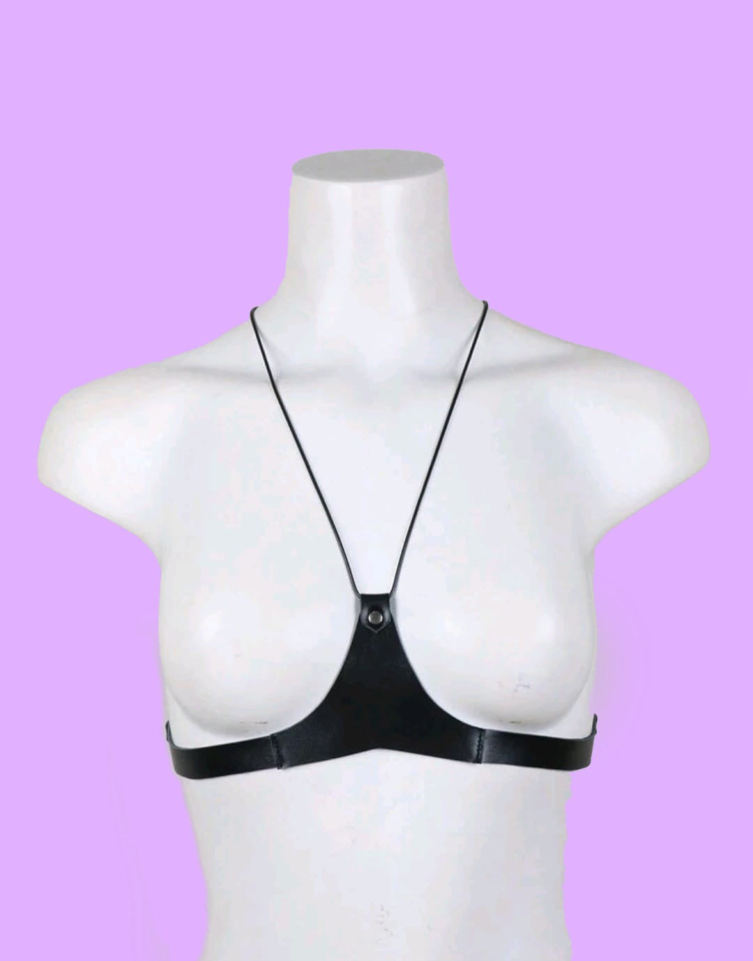 Temptation Halter Harness